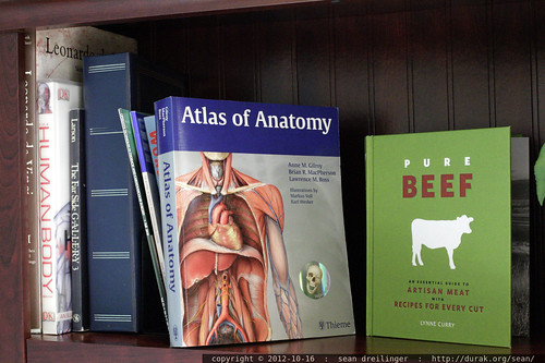 what classification system colocates artisan meat recipes with the atlas of human anatomy?     MG 9797