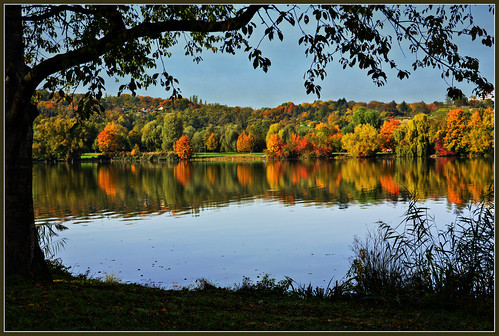autumn lake fall canon germany deutschland see colours stuttgart herbst badenwürttemberg herbststimmung herbstfarben maxeythsee 60d sunrays5