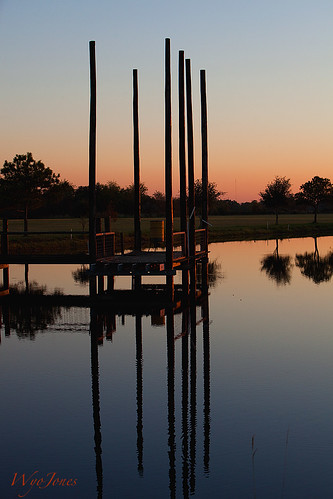 trees sunset water reflections mirror pond texas country platform pilings np silhoutte microwavetower wallercounty mayerroad wyojones