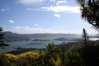 Otago Harbour from Larnach Castle