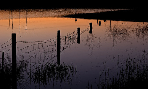 sunset canada reflection calgary fence pond alberta barbedwire slough barbwire pentaxart