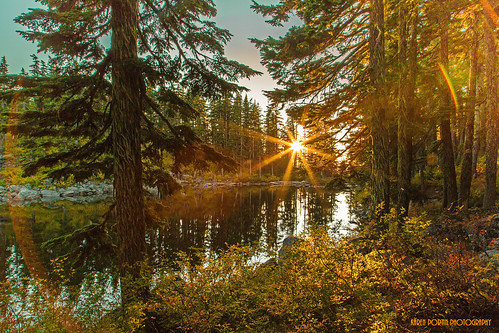 trees sunset sun lake reflections onone masonlake putridpetespeak