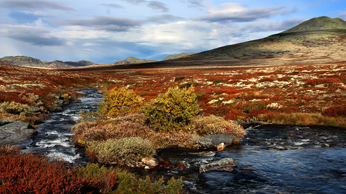 autumn fall norway landscape norge