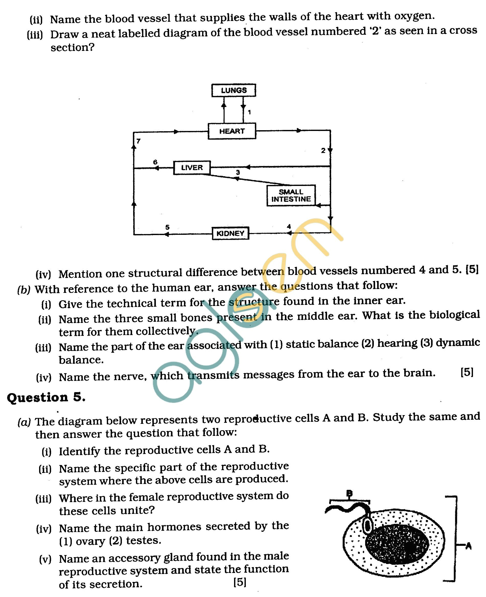 ICSE Class X Exam Question Papers 2011 Biology (Science Paper-3)