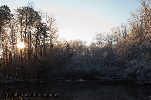 winter sun lake snow storm ice water forest sunrise nc pond woods apartments north greensboro carolina brandt rise