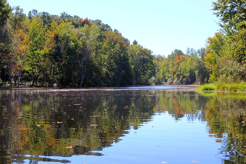 autumn trees fishing pond florida