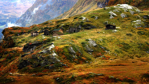 autumn fall norway landscape norge