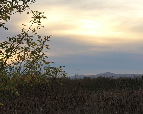 sunset northerncalifornia suisuncity solanocounty suisunmarsh lawlerranch