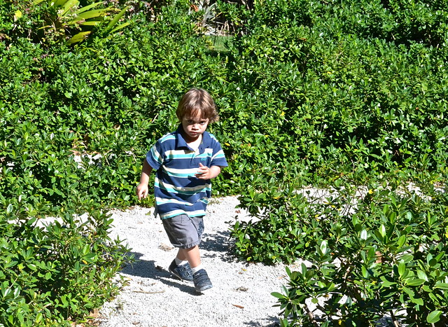 kid in the vizcaya gardens miami fl