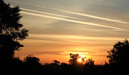 window sunrise morning summer melton countryside leicestershire trees sun sky