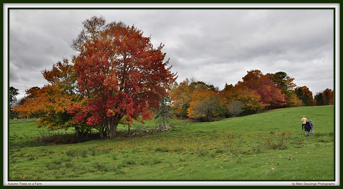 autumn red sky orange canada green colors yellow colorful novascotia cloudy farm dramatic can maritimes atlanticcanada middleton nikonphotography marcgeuzingephotography