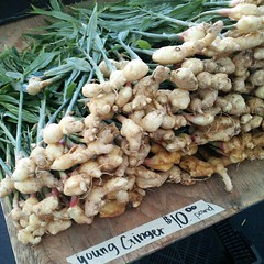 Young ginger at the farmers market.