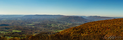 trees panorama mountains fall gilescounty