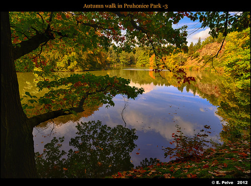 park autumn lake fall hdr gitzo 2012 pruhonicepark carlzeissdistagon21mmf28zf nikond800e
