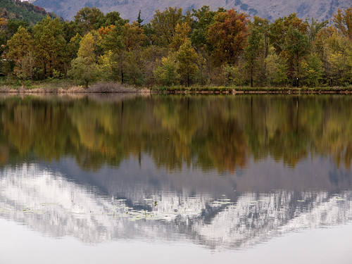 wood autumn trees lake cold fall water reflections landscape rippled firstsnow piedmont quietness the4elements