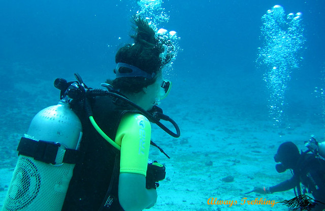 There's A Place To Visit in Derawan, East Kalimantan, Indonesia: Scuba diving in Indonesia