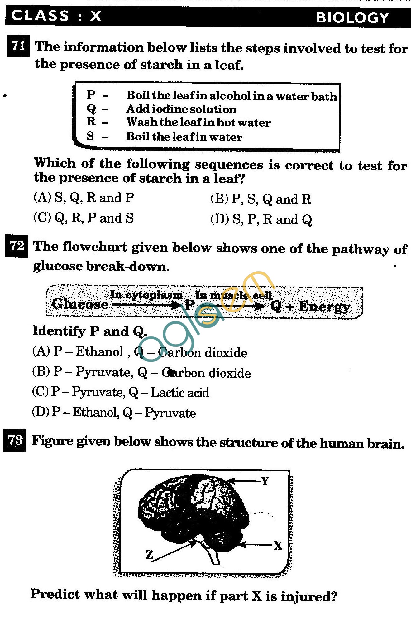 NSTSE 2011 Class X Question Paper with Answers - Biology
