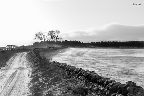 snow canon eos scotland blackwhite flickr scottish borders 600d