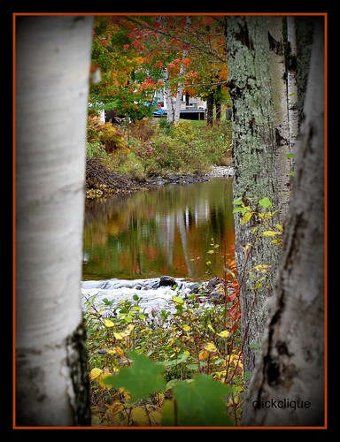 trees friends fall colors beauty reflections river fallcolors birch autumnfall thebestoffriendsshowcase