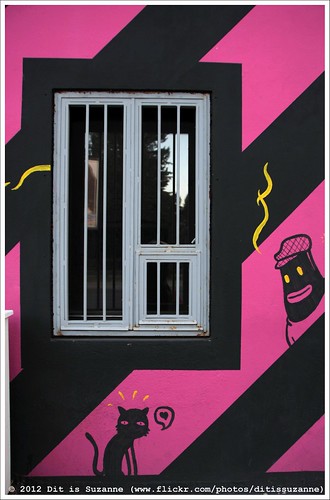 window cat kat raam montenegro кошка crnagora окно podgorica views200 img1091 черногория ©ditissuzanne canoneos40d црнагора подгорица sigma18250mm13563hsm 22092012