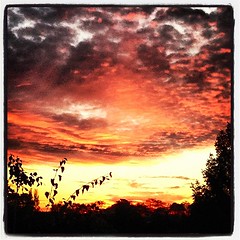 #sunsetwar normand - Photo of La Bigne