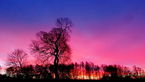 sunrise dawn northumberland otterburn