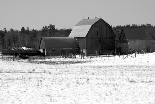 old winter bw ontario buildings landscape barns wintertime farmscape