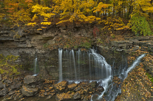 fall nature water landscape waterfalls conservationarea niagaraescarpment 20milecreek upperballsfalls