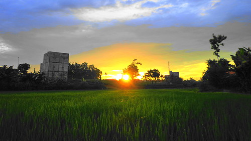 sunrise indonesia ricefield goldenhour pagi paddyfield sawah lampung pocketcamera matahariterbit mentaripagi lampungutara sonydscw630 davidsapta sonycybershotw630