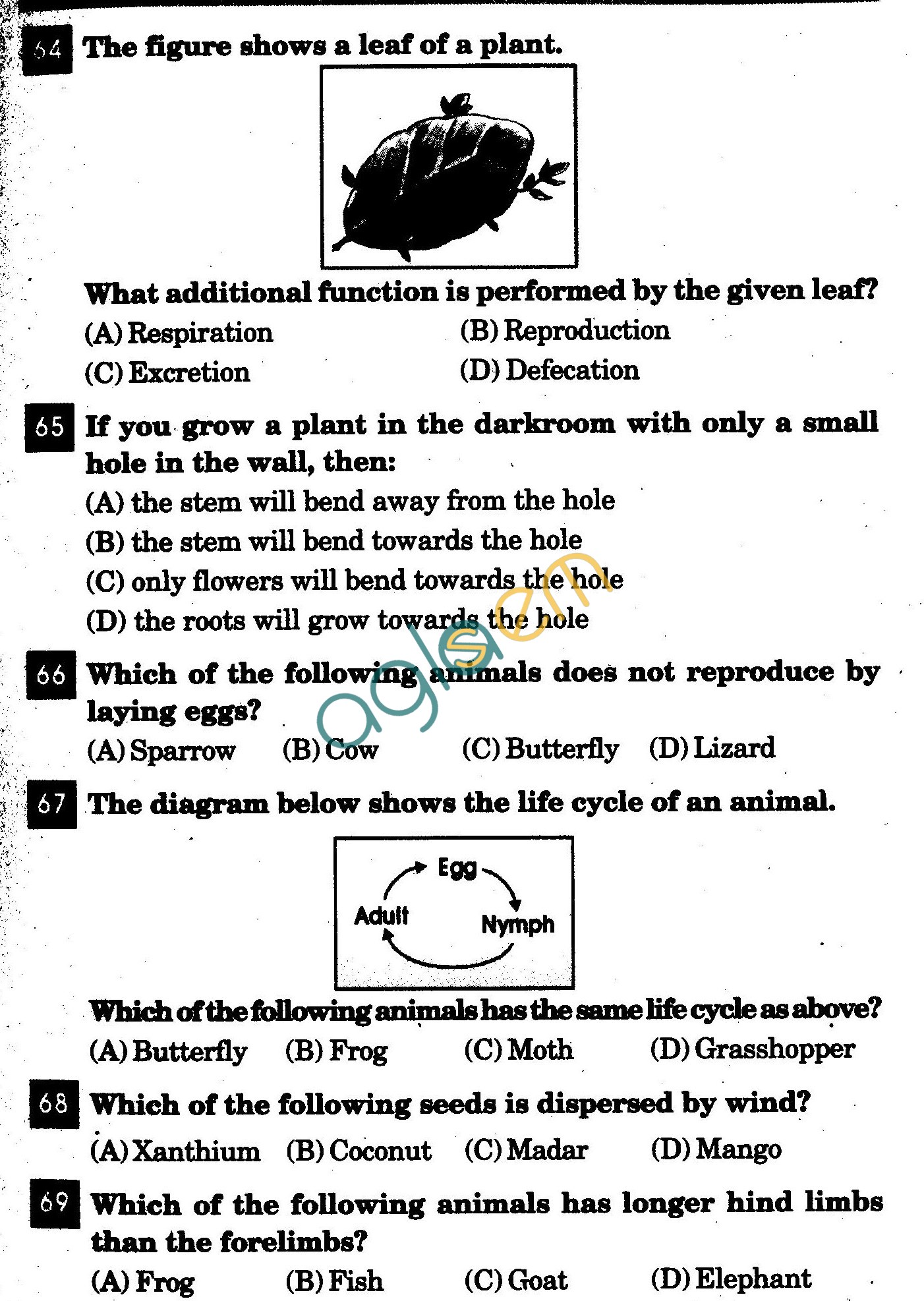 NSTSE 2011 Class V Question Paper with Answers - Science