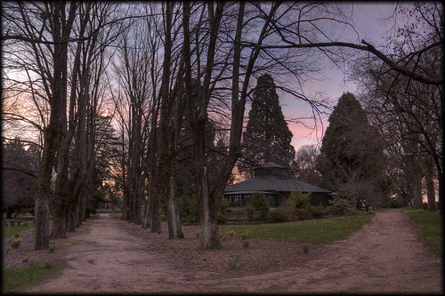 cook park sunset twilight new south wales australia canon eos 50d nsw pink light trees