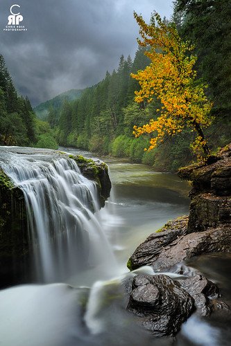color tree yellow rock waterfall washington cloudy lewis falls h20