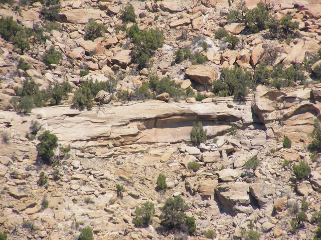 New Mexico Natural Arch NM-340