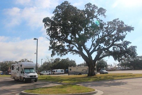 Day 177: Gulf shores of Mississippi.