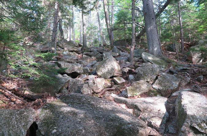 Blueberry Ledge Trail Rocks