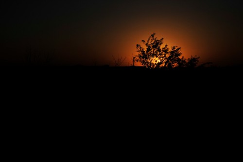 favorite gold hidalgo sunset texas