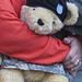 Teddy Bear Veterans Day NYC 2012