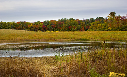 park autumn ohio fall nature beautiful reflections landscape pond colorful grant wildlife foliage falllandscape