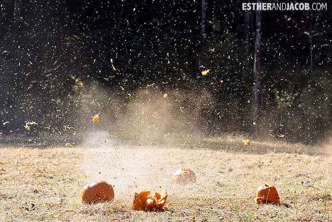 Pumpkin Shooting at Chattanooga National Forest | Fall Checklist 2012