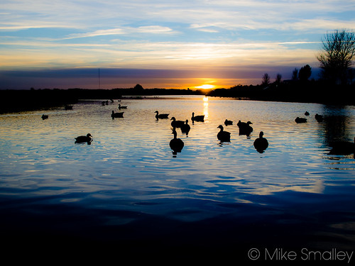 park sunset lake water ducks lincolnshire thorpe cleethorpes fitties humberston nikond5100