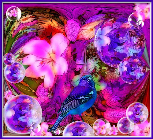 color bright bubbles spheres hypothetical awardtree