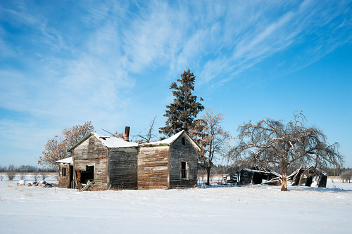 wood winter house snow broken field rural rustic grain shed faded abandon western weathered shack agriculture derelict woodgrain ruined