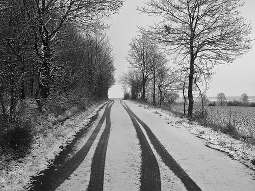 trees winter bw white snow way snowy tracks sw lanes winterreise glasseyesview