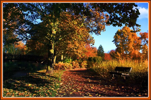 bridge autumn trees color colour fall water leaves walk riverbank footpath autumnal