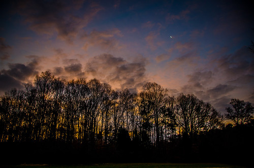 trees moon silhouette clouds sunrise cresent riceville