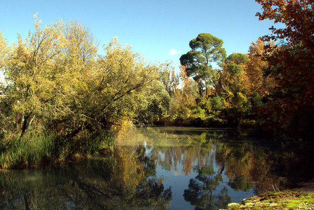 Río Tajo, otoño