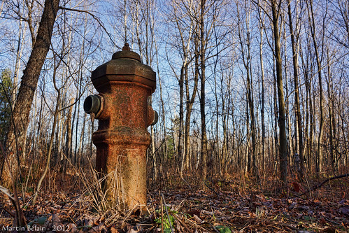 sh68 scavengerhunt101 rust fire hydrant planbouchard bouchard borne fontaine forest forêt nex7 explore explored firehydrant bornefontaine campbouchard apocalyptic postapocalytic post fallout ludlow