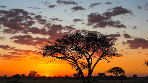 africa sunset safari explore zimbabwe nationalparks hwange bestevergoldenartists
