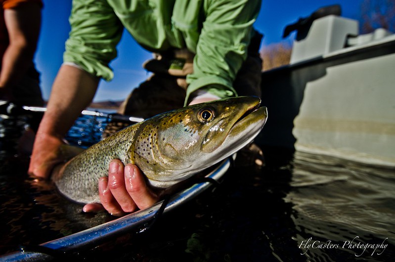 Book Excerpt: A Fly-Fishing Expedition in Mongolia - Orvis News