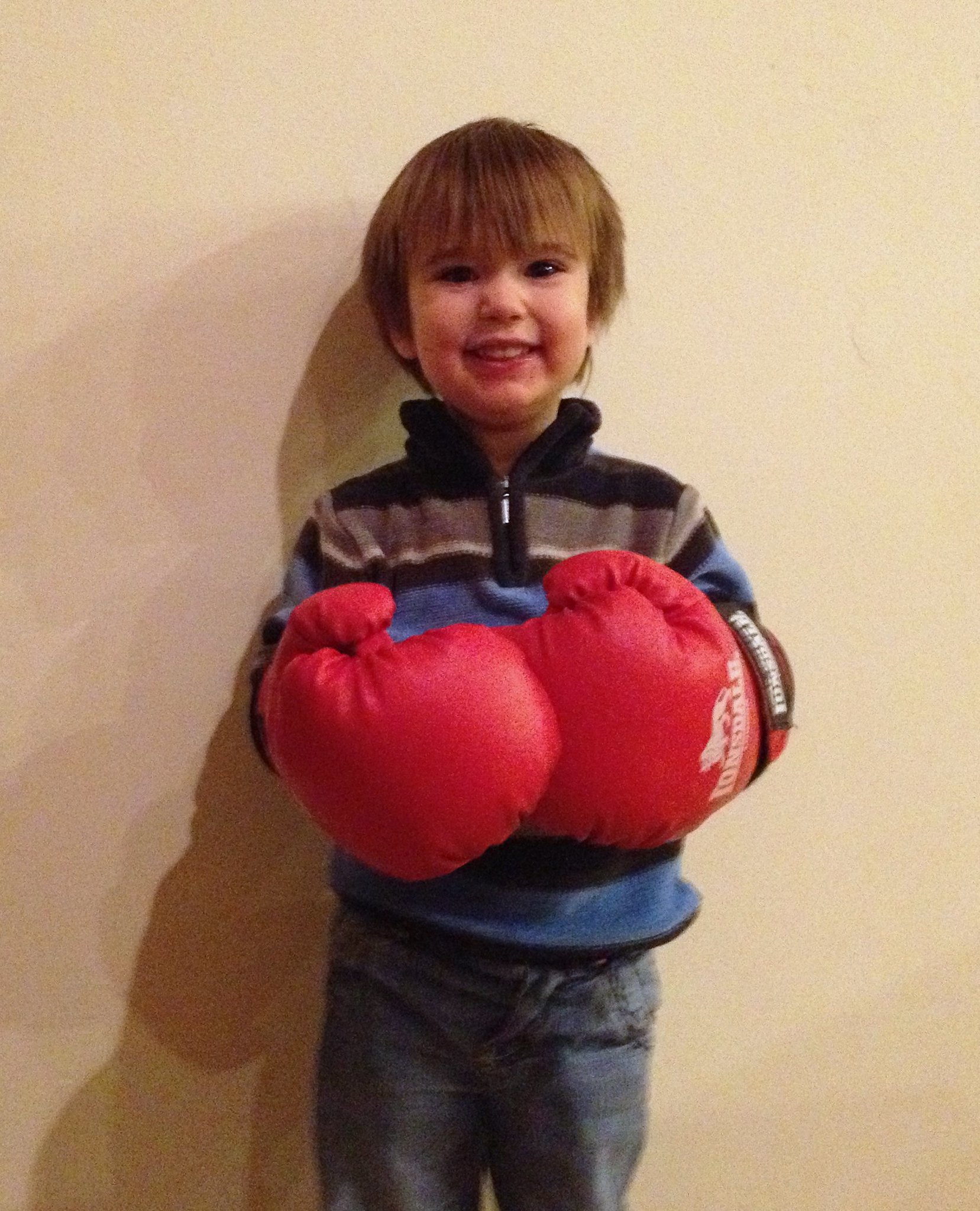 Jasper With Boxing Gloves